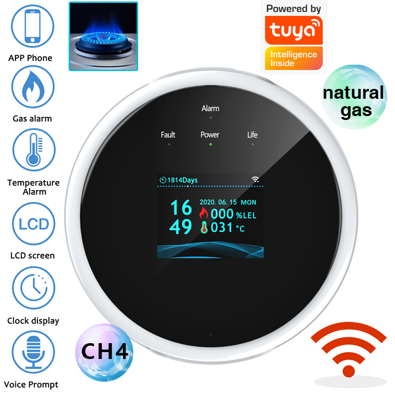 Smart Home Networking - 2.4G WiFi Gas Alarm Sensor Combustible