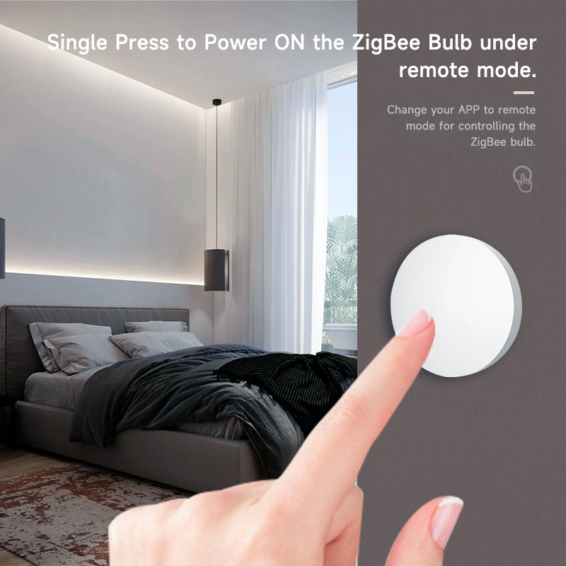 Tuya ZigBee Smart Wireless But - đánh giá và giá Smart Home Voice Assistant