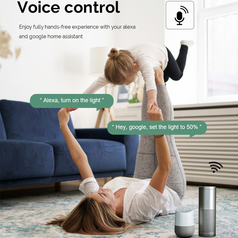 DIY  Wifi Smart Dimmer Switch  - đánh giá và giá Smart Home Voice Assistant