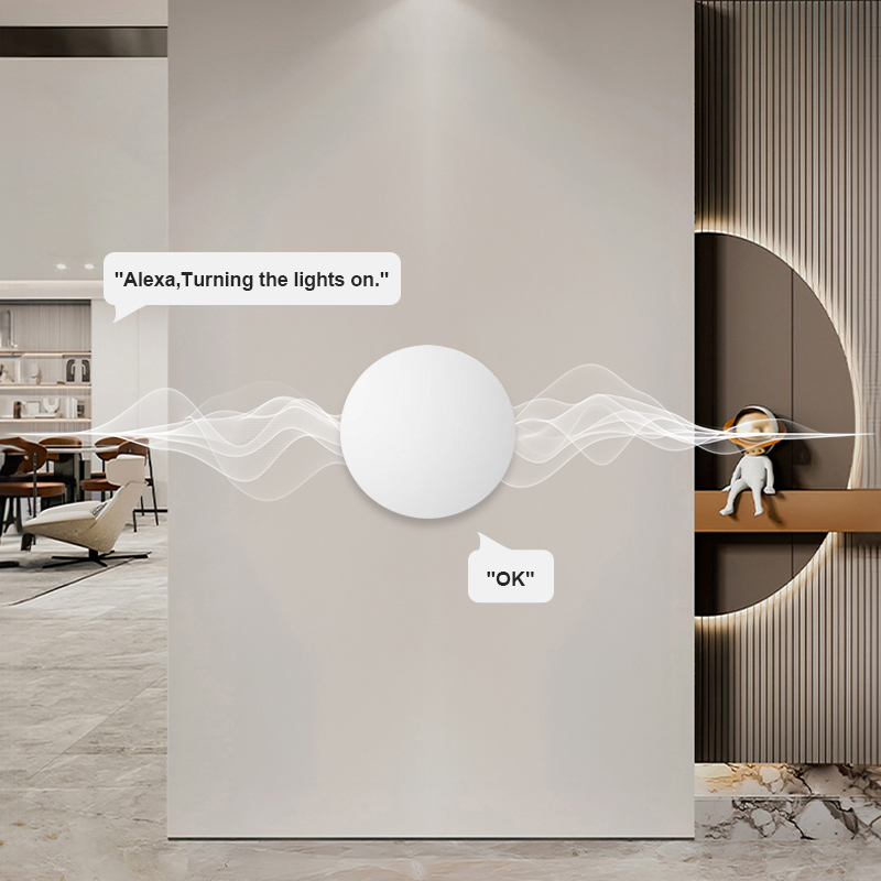 ZigBee Smart Wireless Button S - đánh giá và giá Smart Home Voice Assistant