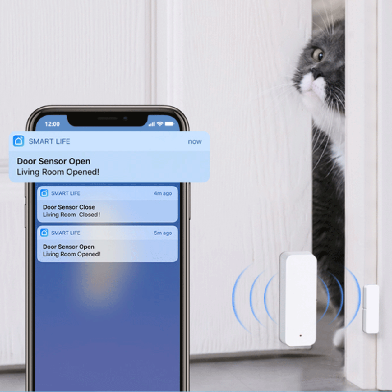 Tuya WiFi Zigbee Door Window S - đánh giá và giá Smart Home For Living