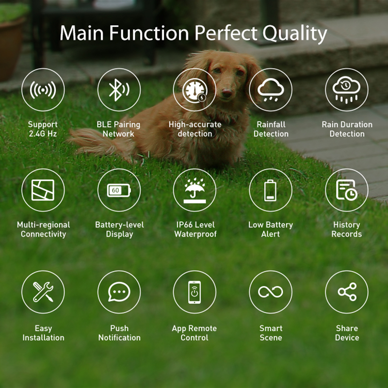 WiFi Rain Sensor Rainfall Dura - đánh giá và giá Smart Home Iot